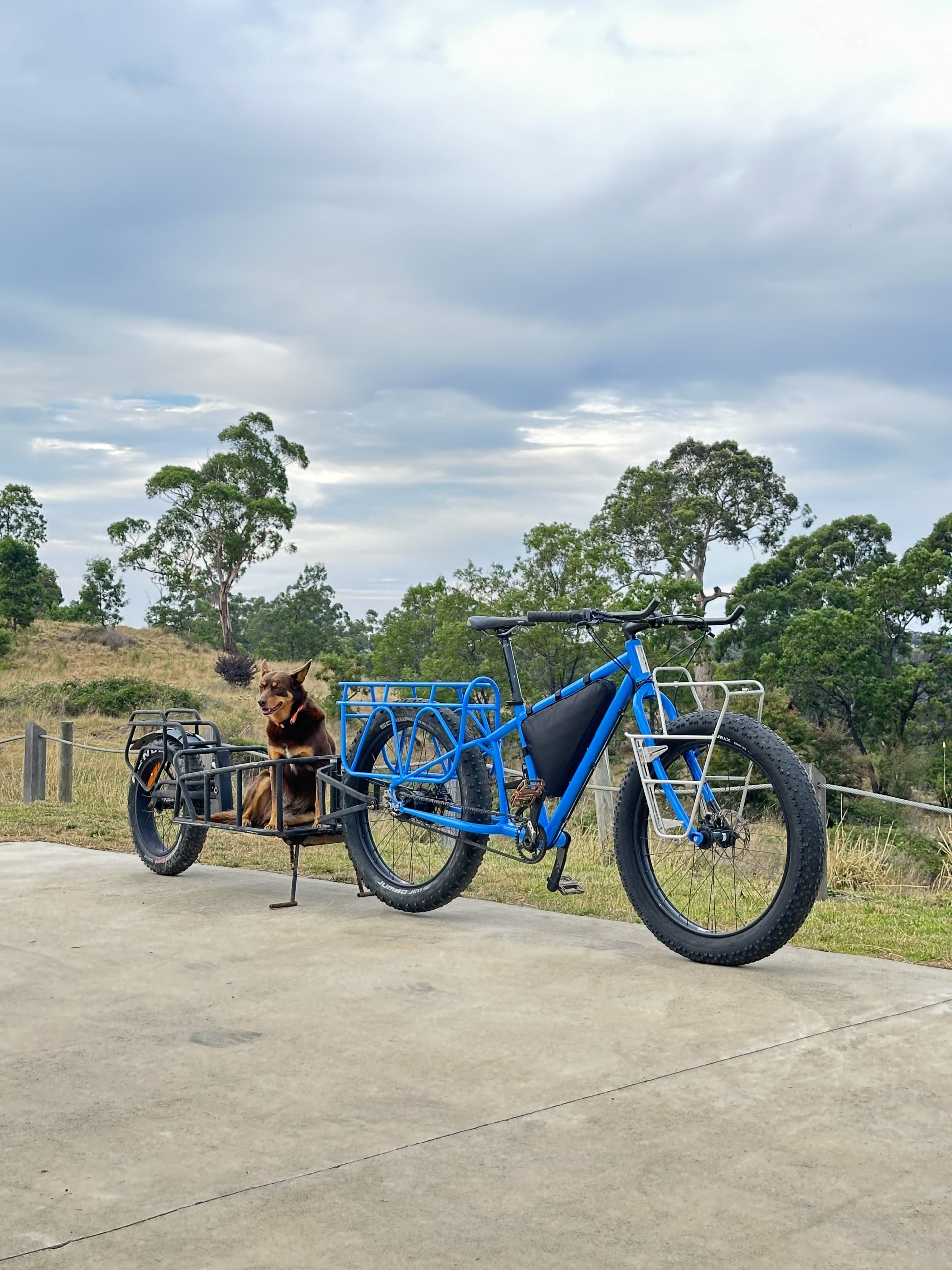 Custom Steel Cargo Explorer Bike
