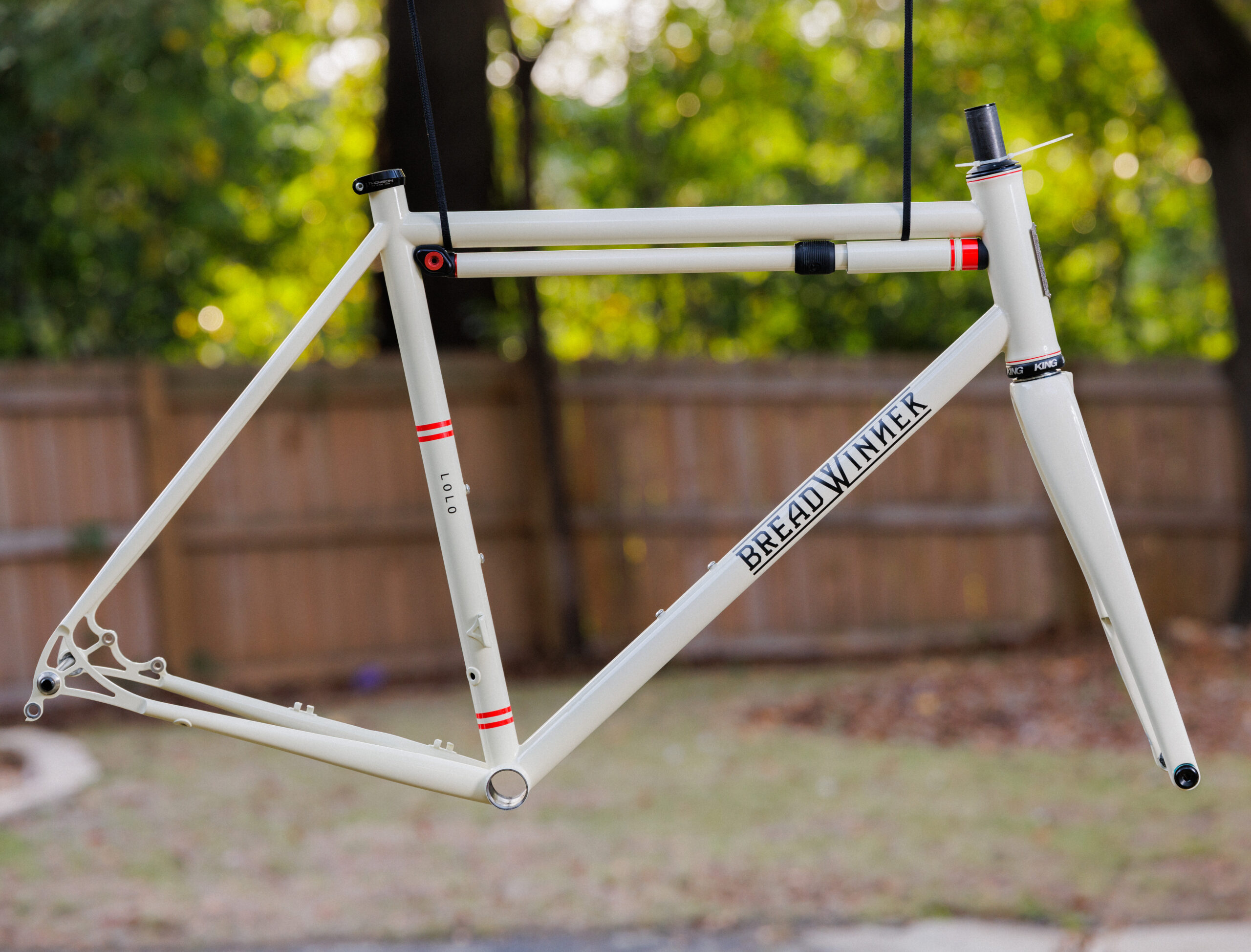 Breadwinner Lolo Frameset (M/L)Custom Paint + PTM Silca Frame Pump