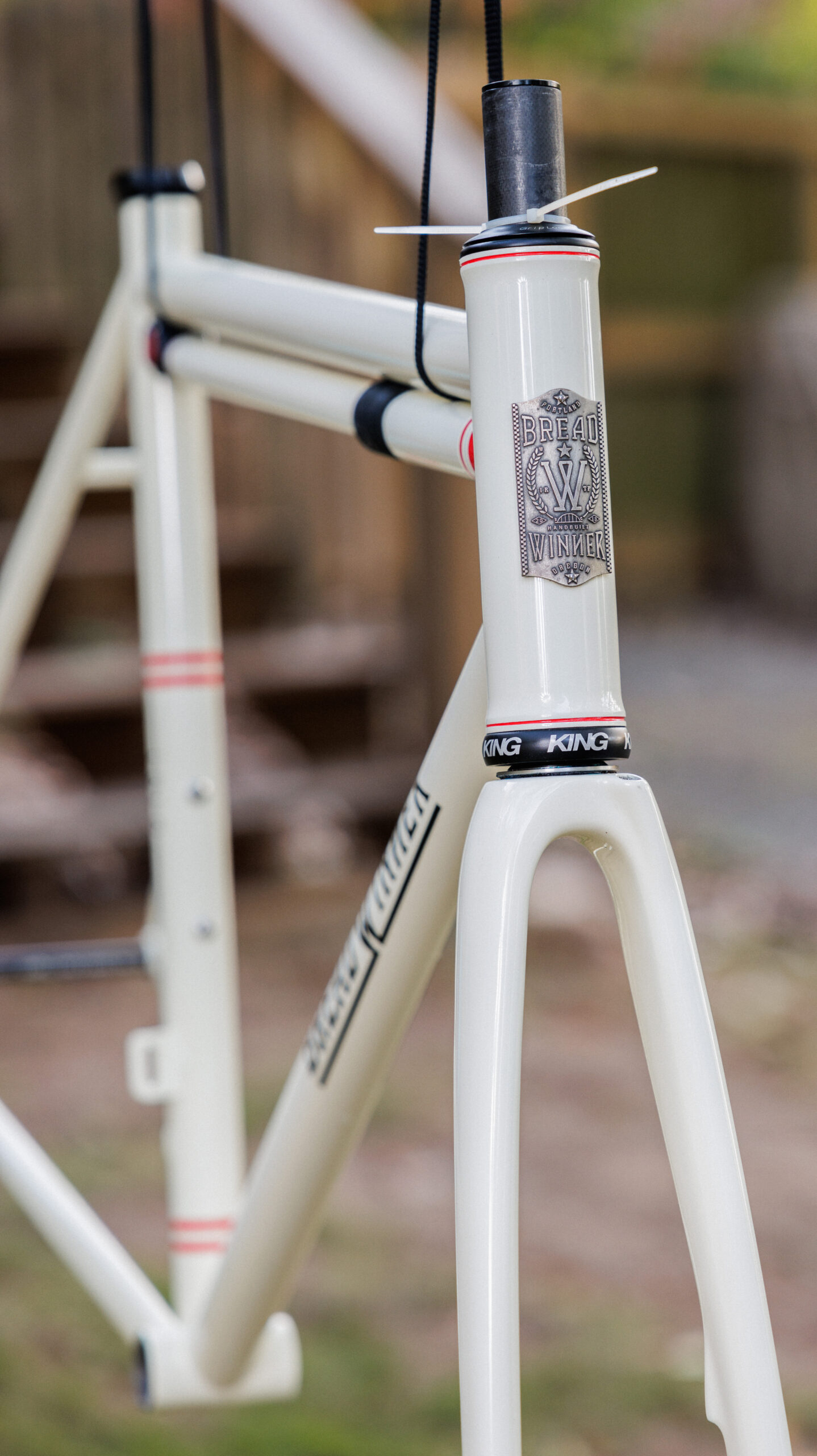 Breadwinner Lolo Frameset (M/L)Custom Paint + PTM Silca Frame Pump