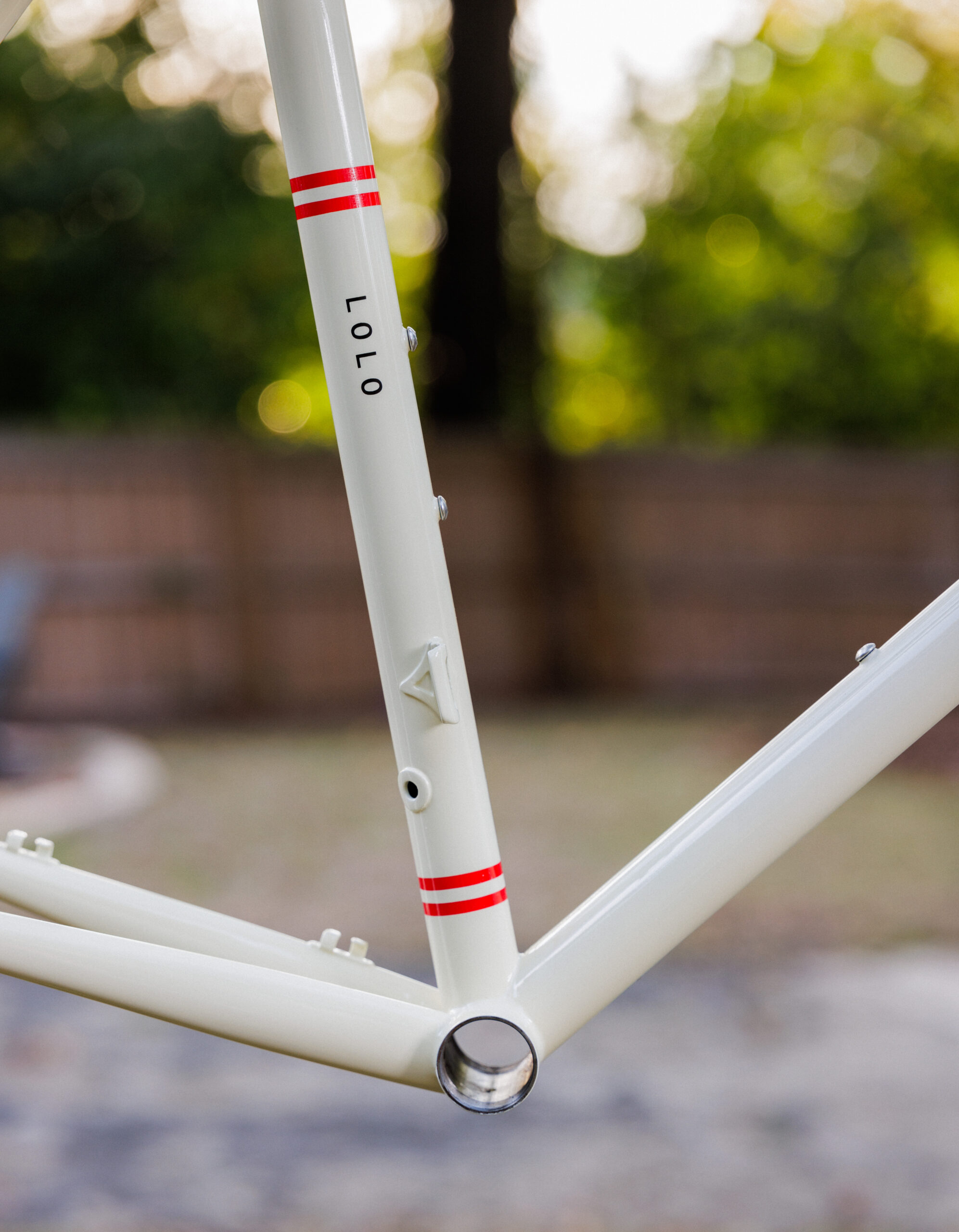 Breadwinner Lolo Frameset (M/L)Custom Paint + PTM Silca Frame Pump