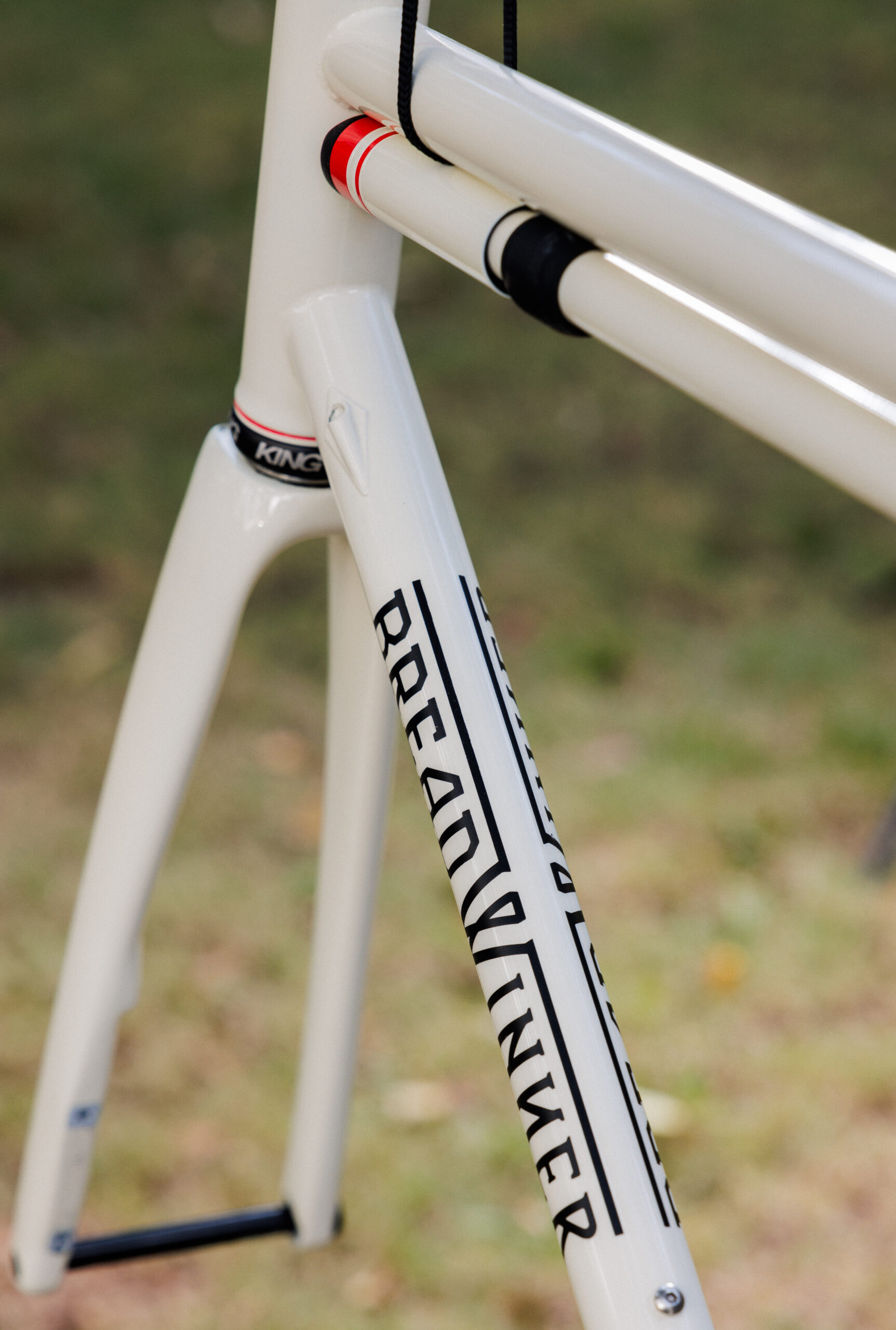 Breadwinner Lolo Frameset (M/L)Custom Paint + PTM Silca Frame Pump