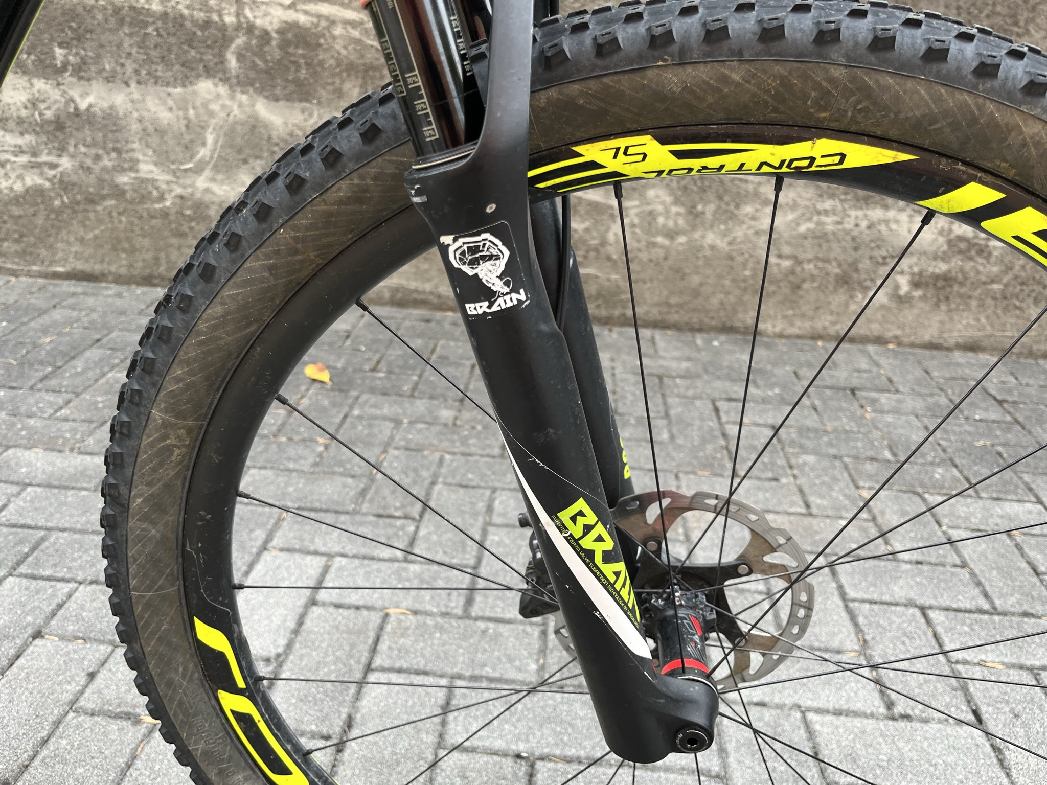 Scott Scale RC