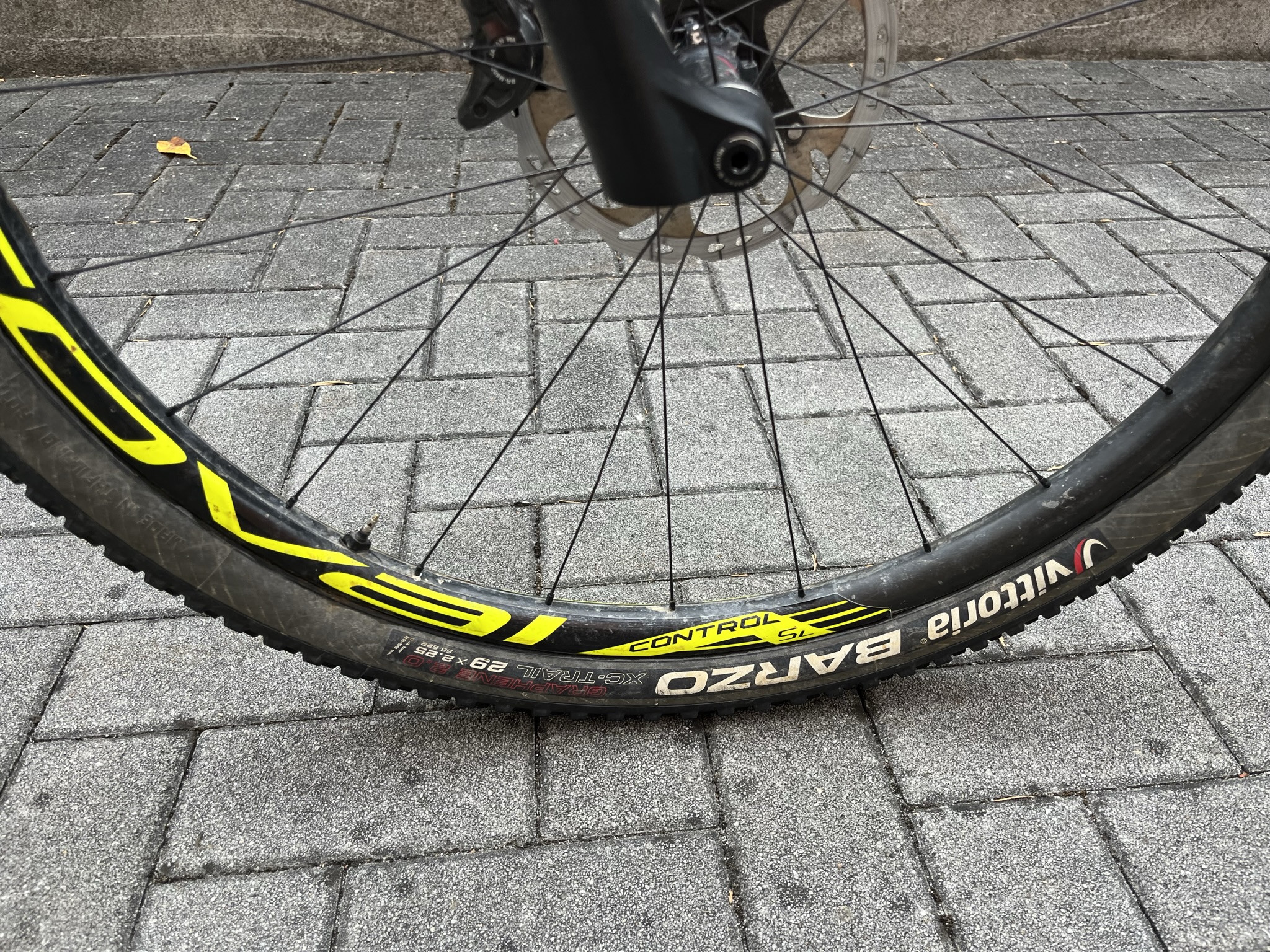 Scott Scale RC