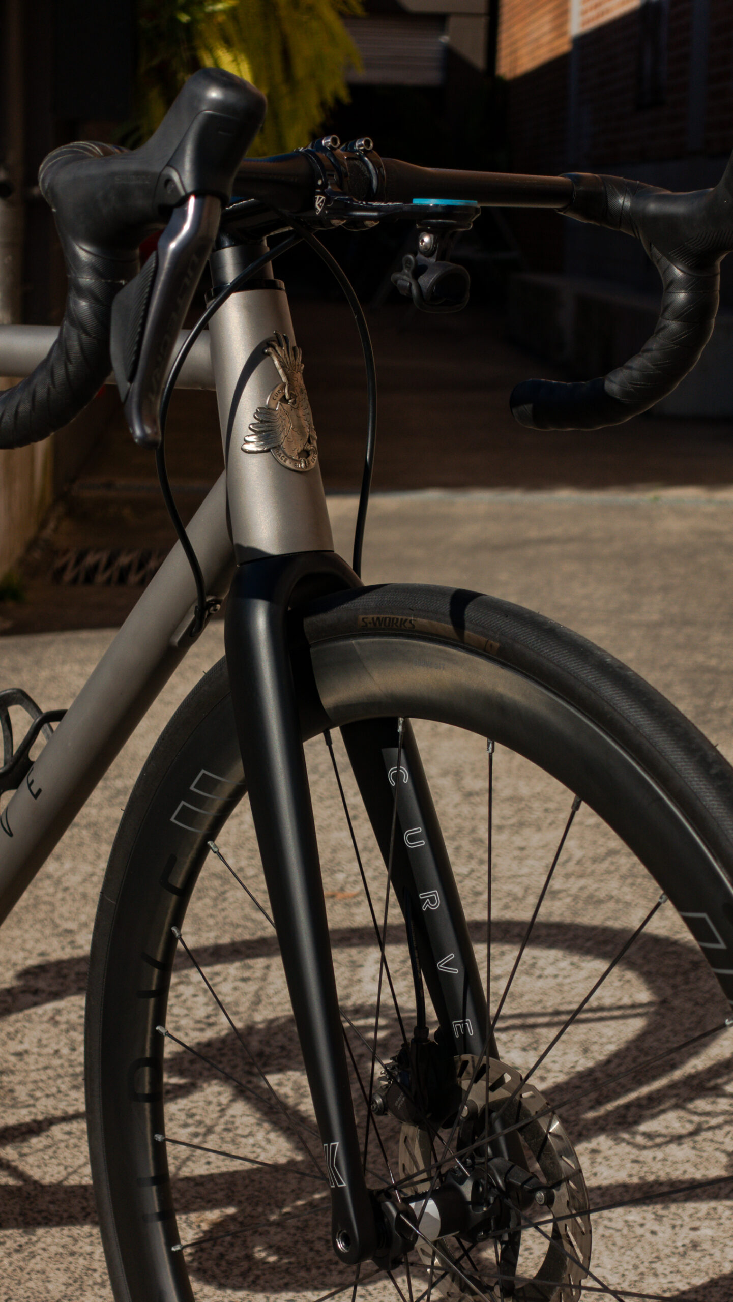 Curve Belgie Disc, Ultegra Di2, Curve G4T wheels