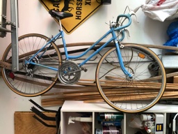 Vintage Schwin Women's Bike